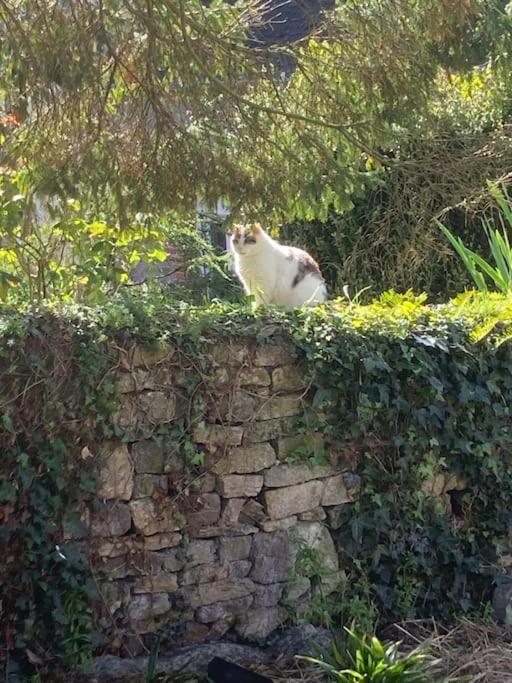 Gite Au Coeur De La Suisse Normande Villa Clécy Esterno foto